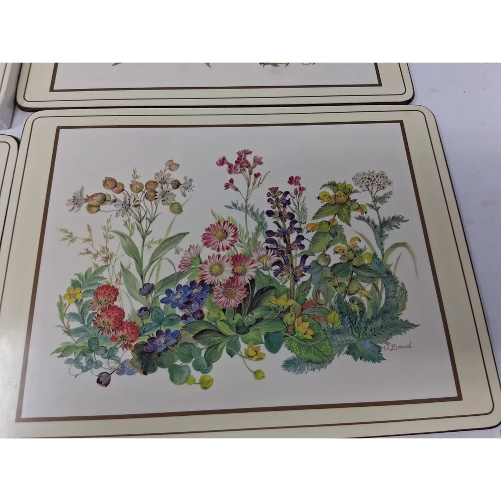 Pimpernel Placemats Meadow Flowers Illustrated by H Bond Set of 4 Cork  Vtg H